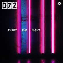 D72 - Enjoy the Night FLAC download