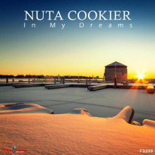 Nuta Cookier - In My Dreams FLAC download