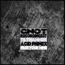 Tilthammer, Acid Phinex - Free Your Mind FLAC download