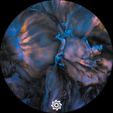 Pyramidal Decode - Radici EP FLAC download
