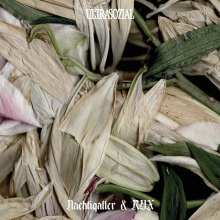 Nachtigaller, Ryx - Crushed Memories FLAC download