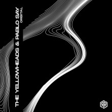 The Yellowheads, Pablo Say - Orbital FLAC download