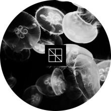 Stijn Vanmarsenille - Underneath The Sea Lies An Ocean Part 2 FLAC download
