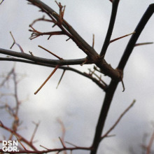 Dsngdmann - Modern Slavery FLAC download