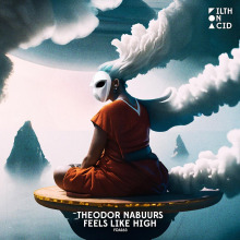 Theodor Nabuurs - Feels Like High FLAC download