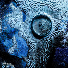 Altrd Being - XKPSM004 FLAC download