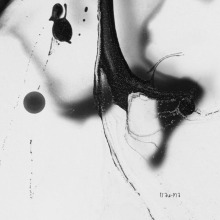 Coolorblind - Confused FLAC download