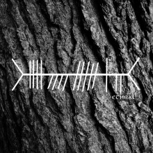 Lucas Silvero - Within the Whole FLAC download