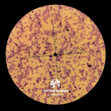Declan James, Thisisthx - Oblivion FLAC download