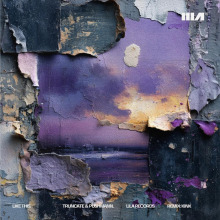 Truncate, Pushmann - Like This FLAC download