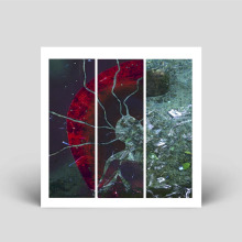 Autokinetic, Flaws - Selective Consciousness FLAC download
