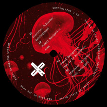Stanislav Tolkachev, Pineal Navigation - Combination 2 EP FLAC download