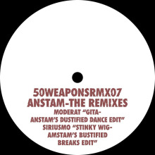 Anstam - The Remixes FLAC download