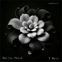 Martyn Pasch - 9 Mois FLAC download