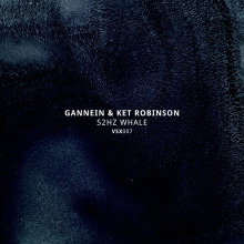 Gannein, Ket Robinson - 52Hz Whale EP FLAC download