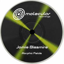 Jamie Bissmire - Morphic Fields FLAC download