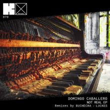 Domingo Caballero - Not Real EP FLAC download