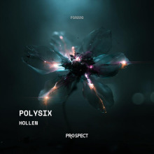 Hollen - Polysix FLAC download