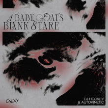 Dj Hockey, Autokinetic - A Baby Goat's Blank Stare FLAC download
