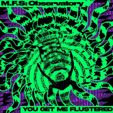 Observatory - You Get Me Flustered FLAC download