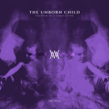 The Unborn Child - Trapped In a Simulation FLAC download