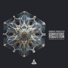 Orbit Shifter - Consistent Connection FLAC download