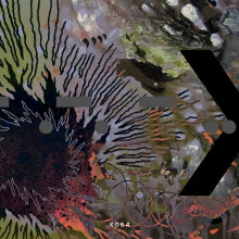 Pedro Capelossi, Aeikus - Any Second Now FLAC download