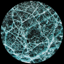 Jonas Kopp - Indigo System FLAC download