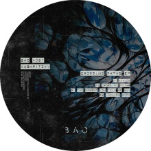 Kashpitzky - Crossing Paths FLAC download