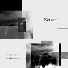 Ketzaal - Cellular Chain FLAC download