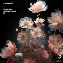 Kalumet - Giggling Hedgehogs FLAC download