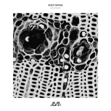 Rudy Ripani - Voltage FLAC download