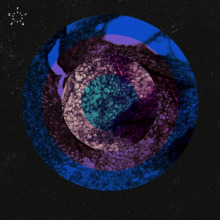 01100110 - Stumbling Blocks of Humankind EP FLAC download