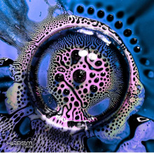 Altrd Being - XKPSM003 FLAC download