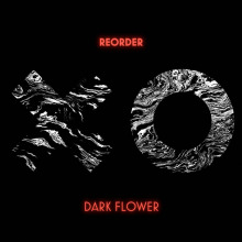 Reorder - Dark Flower FLAC download