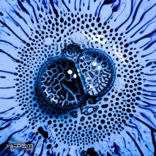 Altrd Being - XKPSM005 FLAC download