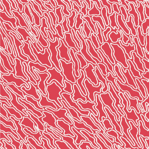 Sabla - Danzaguida FLAC download