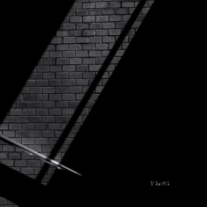 Human Slave - SS1 FLAC download