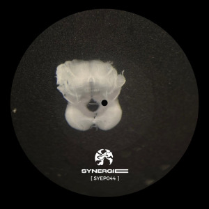 David Reina - Trascend FLAC download