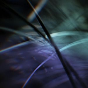Tsott - Fire And Light FLAC download