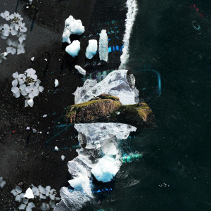 David Reina - My Own Degree FLAC download