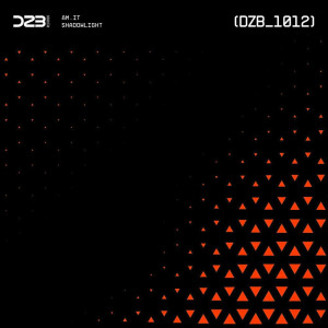 Am.It - Shadowlight FLAC download