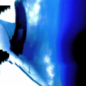 Peryl - Particle Ocean FLAC download