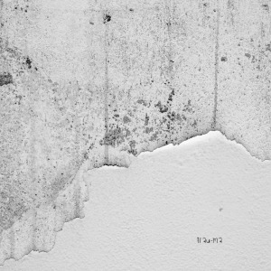 Konstantin Scharf - Opal FLAC download