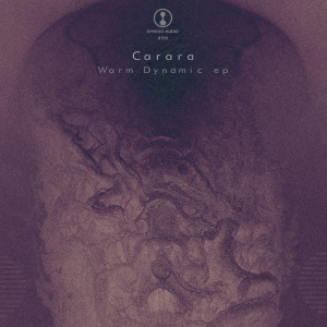 Carara - Warm Dynamic EP FLAC download