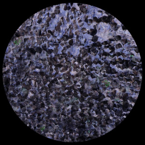 Decoder - Solitary State FLAC download