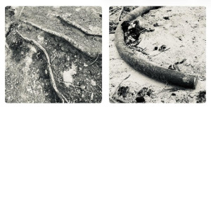 Sleeparchive - _ FLAC download